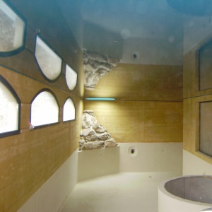 future piscine plafond laqué pétrole
